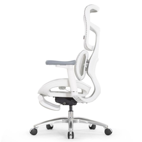 Ортопедическое кресло Falto Scala Office серое Ортопедическое кресло Falto Scala Office серое