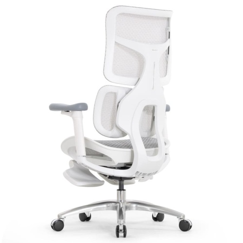 Ортопедическое кресло Falto Scala Office серое Ортопедическое кресло Falto Scala Office серое